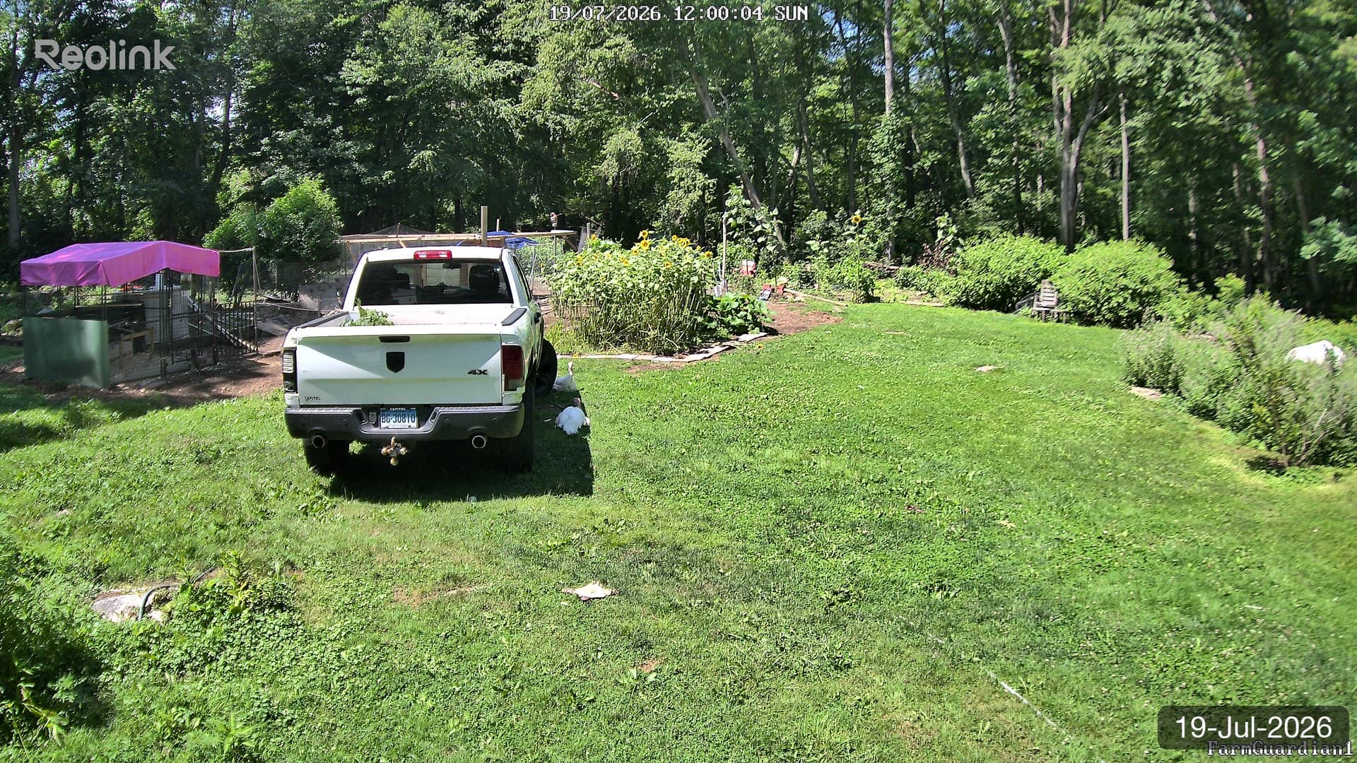 Yard on 19-Jul-2026, Noon