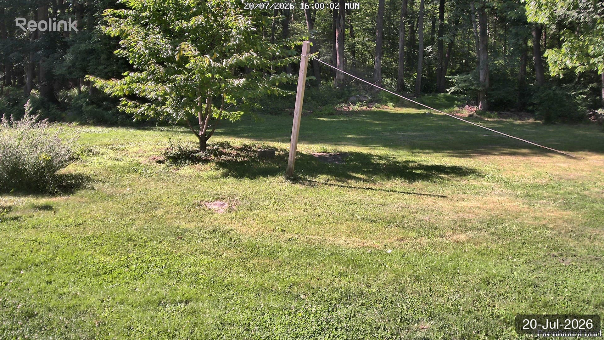 Yard on 20-Jul-2026, Evening
