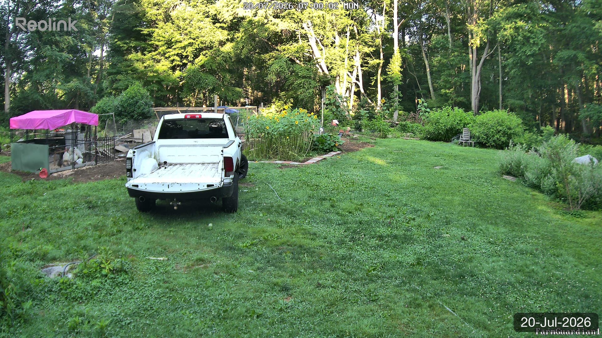 Yard on 20-Jul-2026, Morning