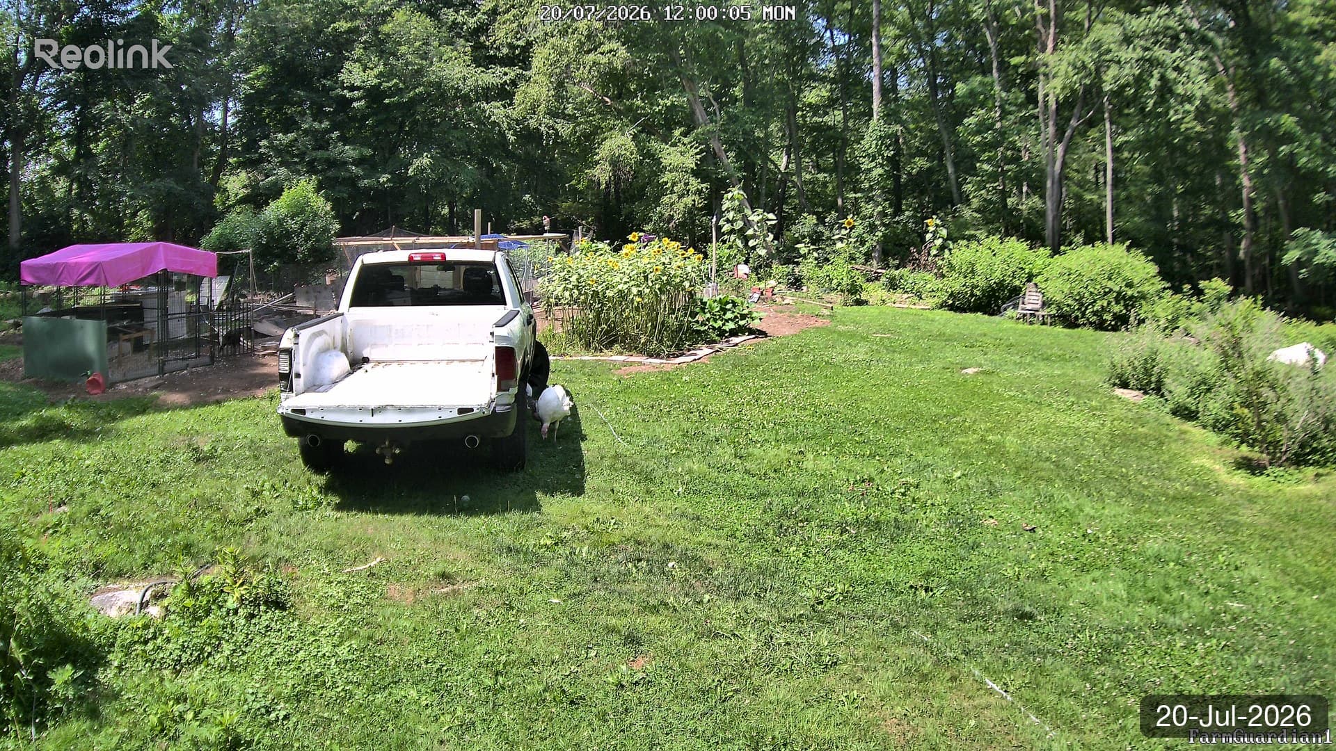 Yard on 20-Jul-2026, Noon
