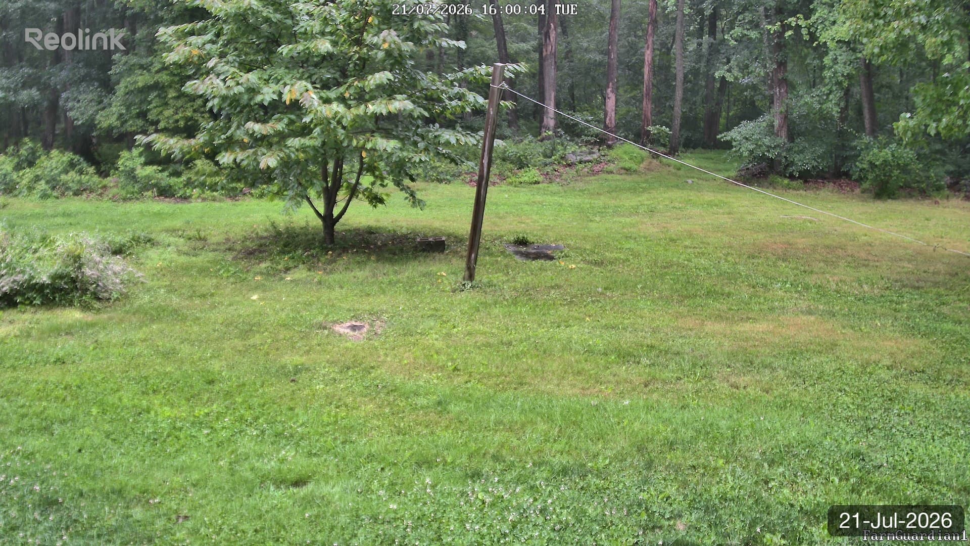 Yard on 21-Jul-2026, Evening
