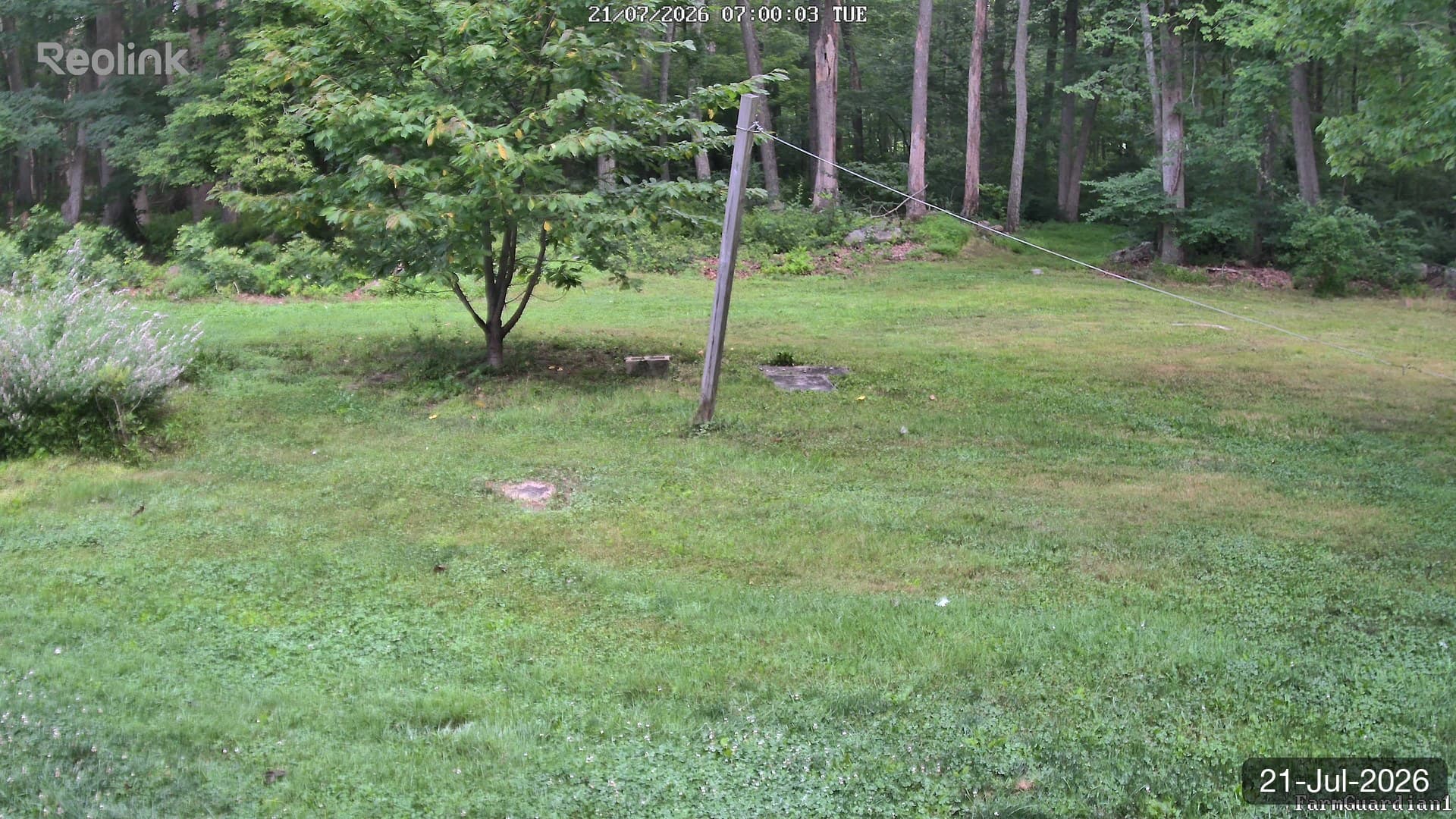 Yard on 21-Jul-2026, Morning