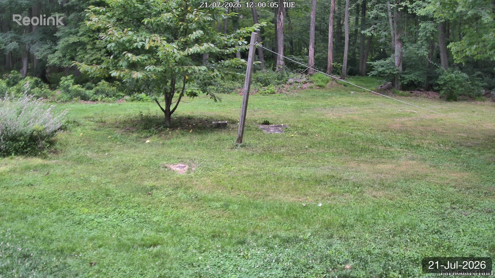 Yard on 21-Jul-2026, Noon