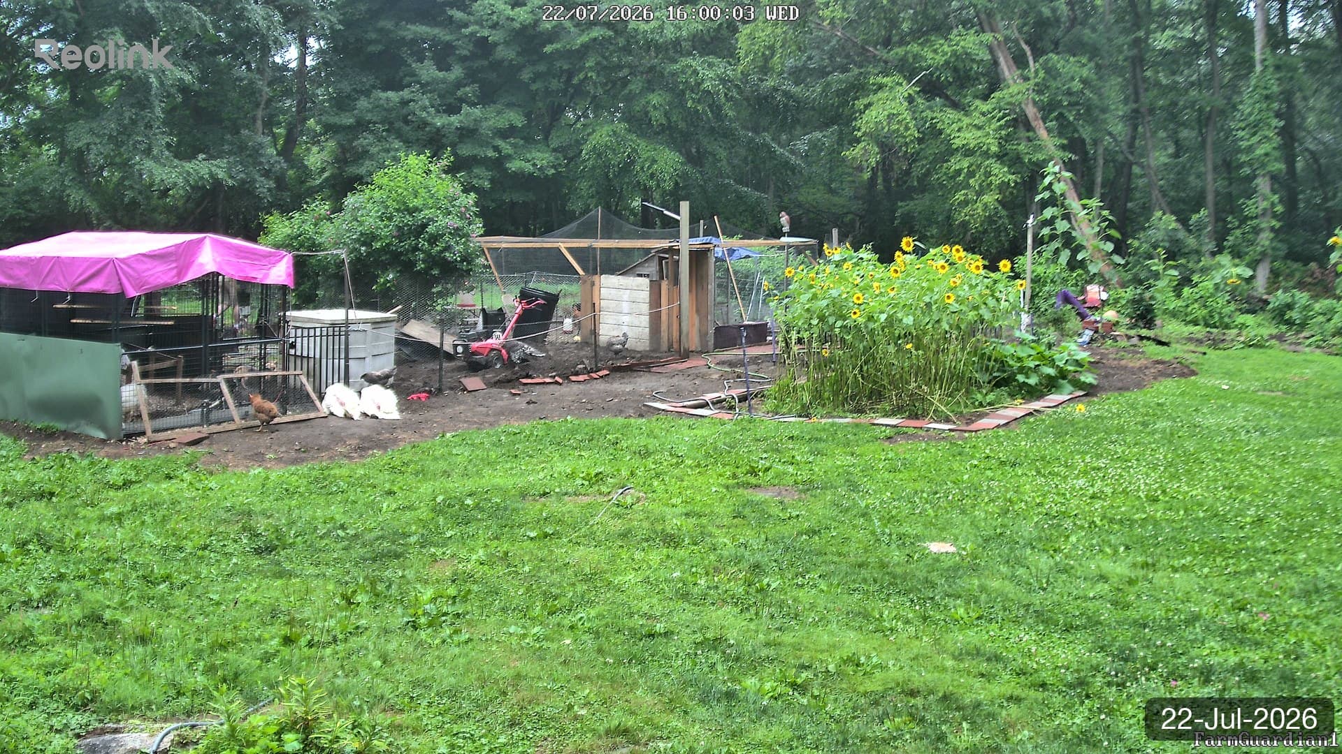 Yard on 22-Jul-2026, Evening