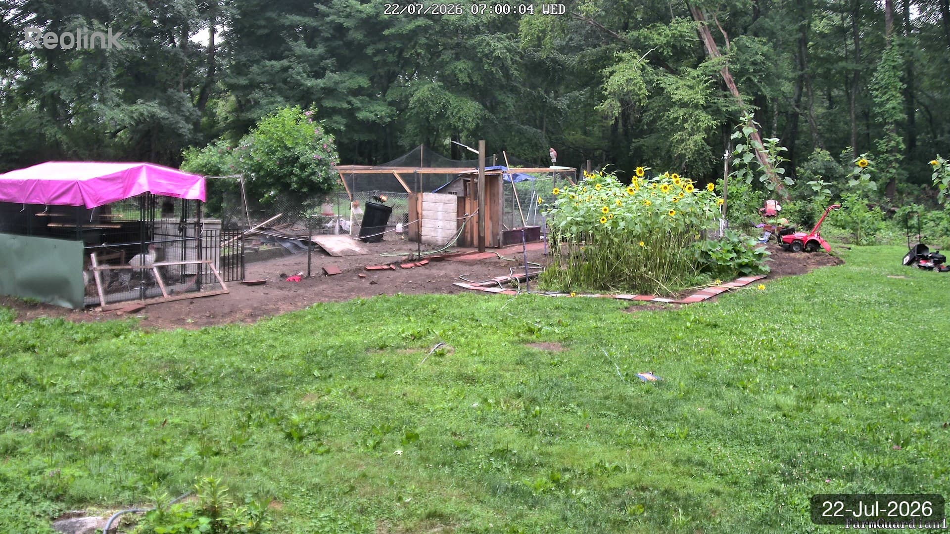 Yard on 22-Jul-2026, Morning