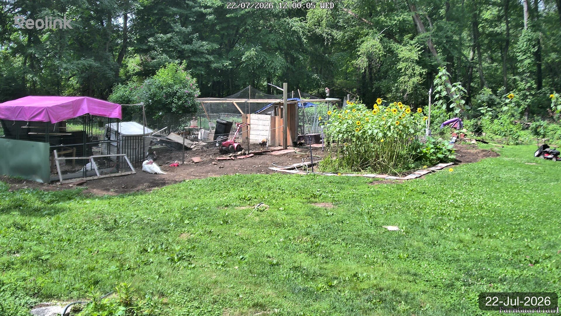 Yard on 22-Jul-2026, Noon