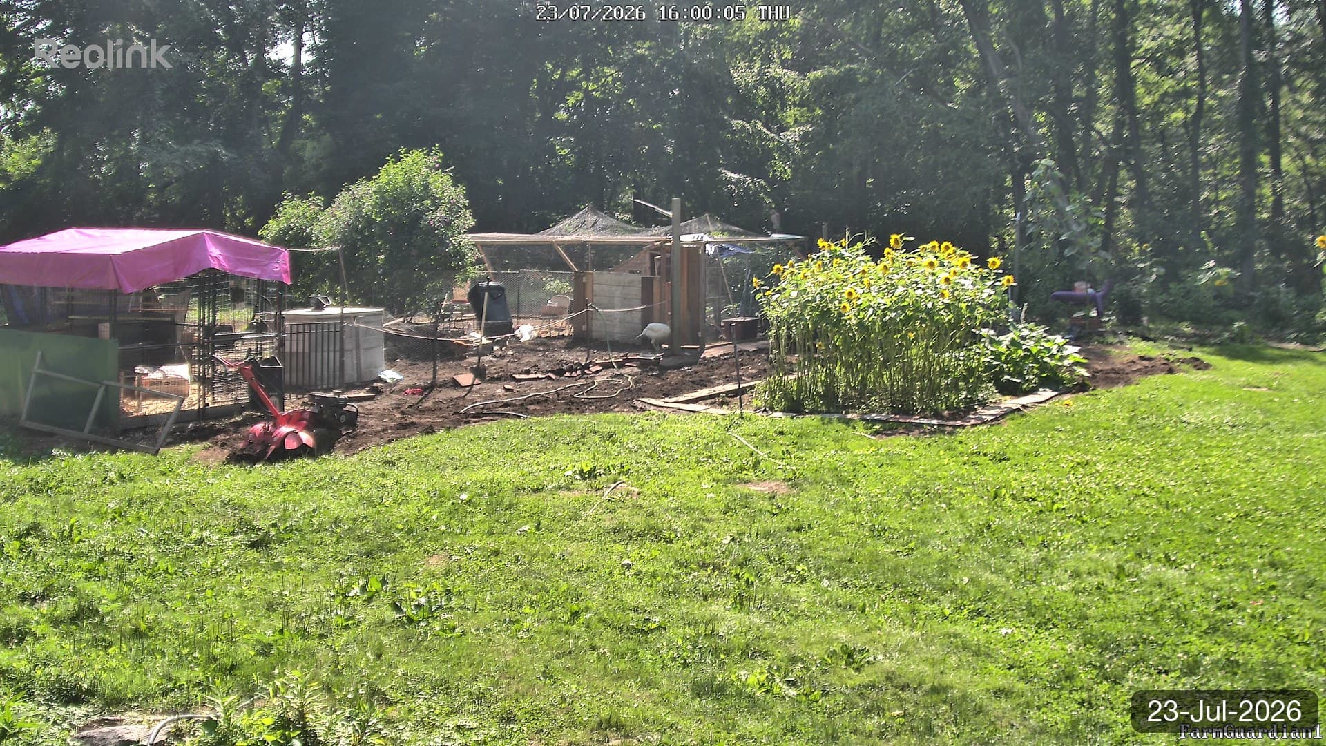 Yard on 23-Jul-2026, Evening