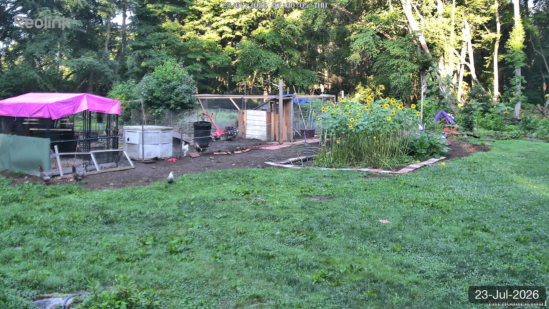 Yard on 23-Jul-2026, Morning
