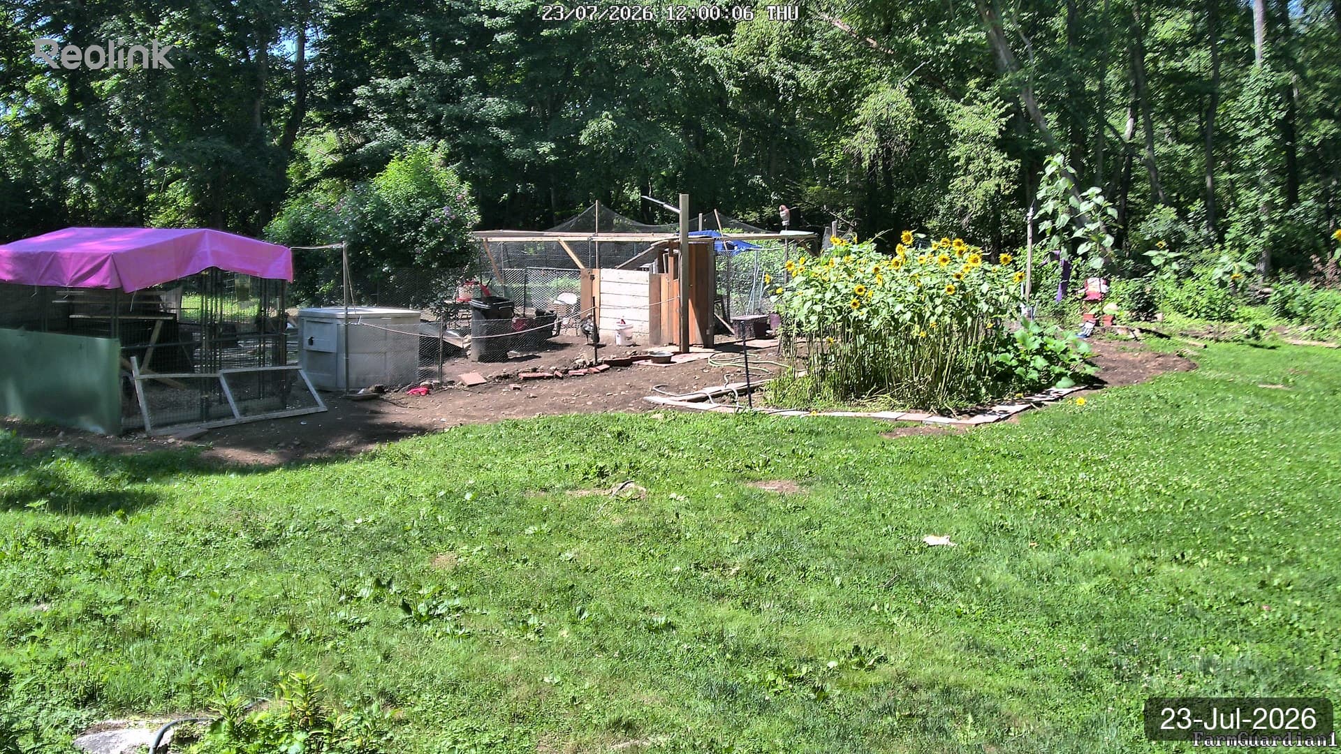 Yard on 23-Jul-2026, Noon