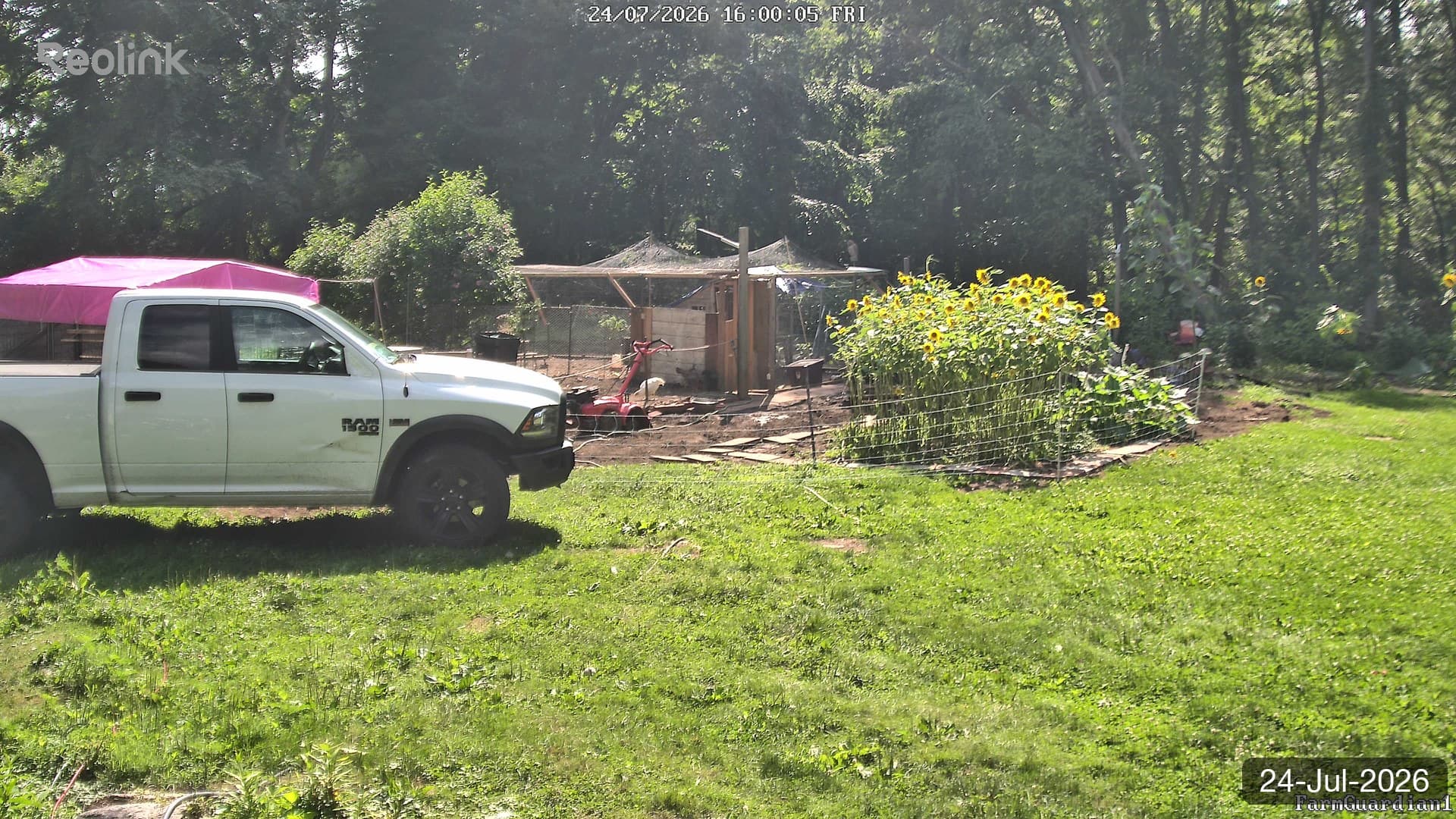 Yard on 24-Jul-2026, Evening