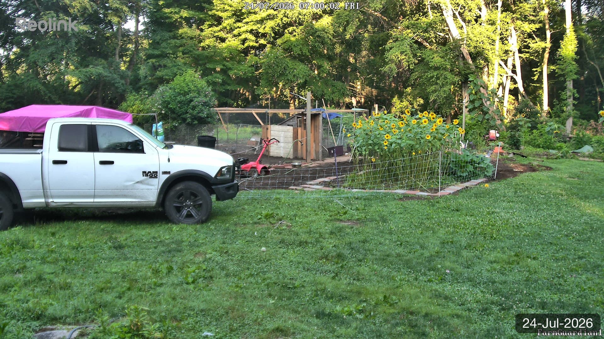 Yard on 24-Jul-2026, Morning