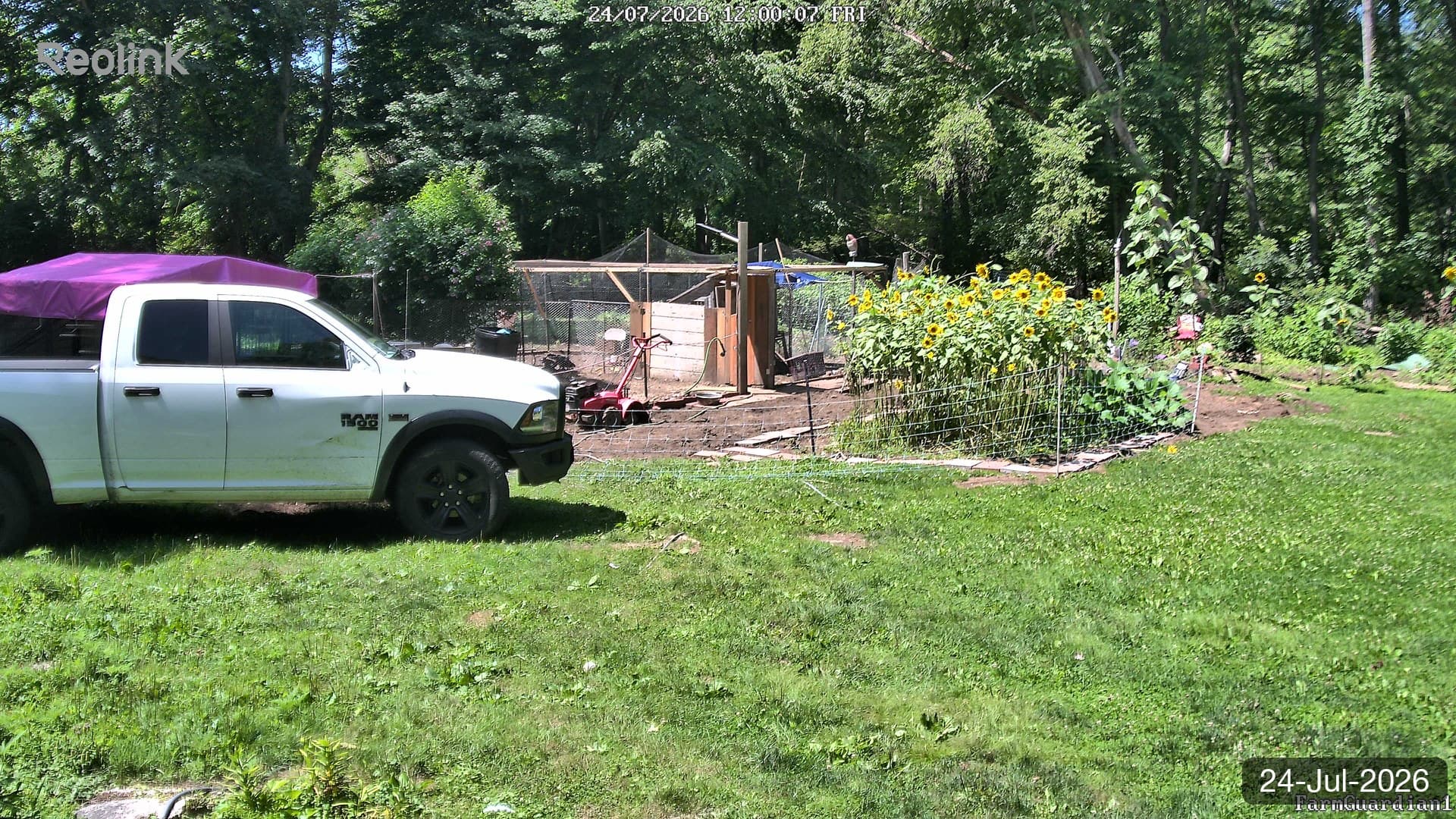 Yard on 24-Jul-2026, Noon