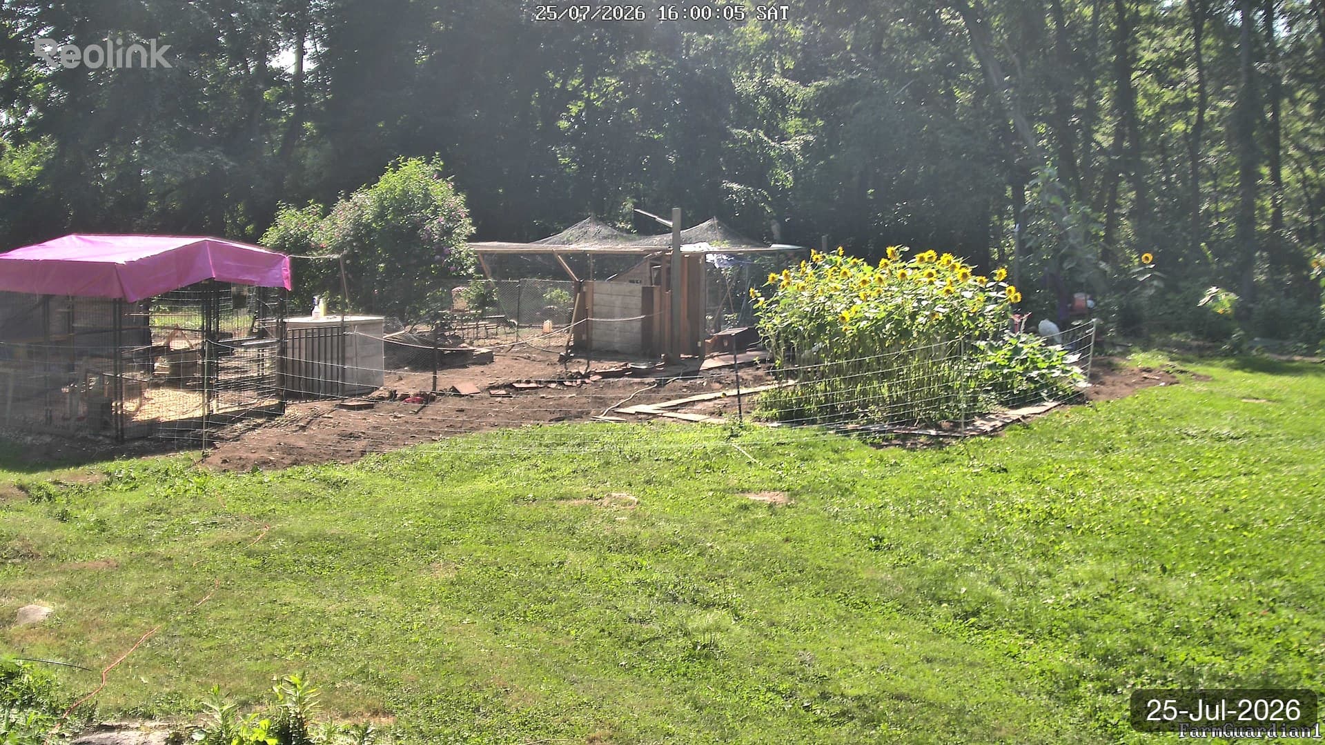 Yard on 25-Jul-2026, Evening