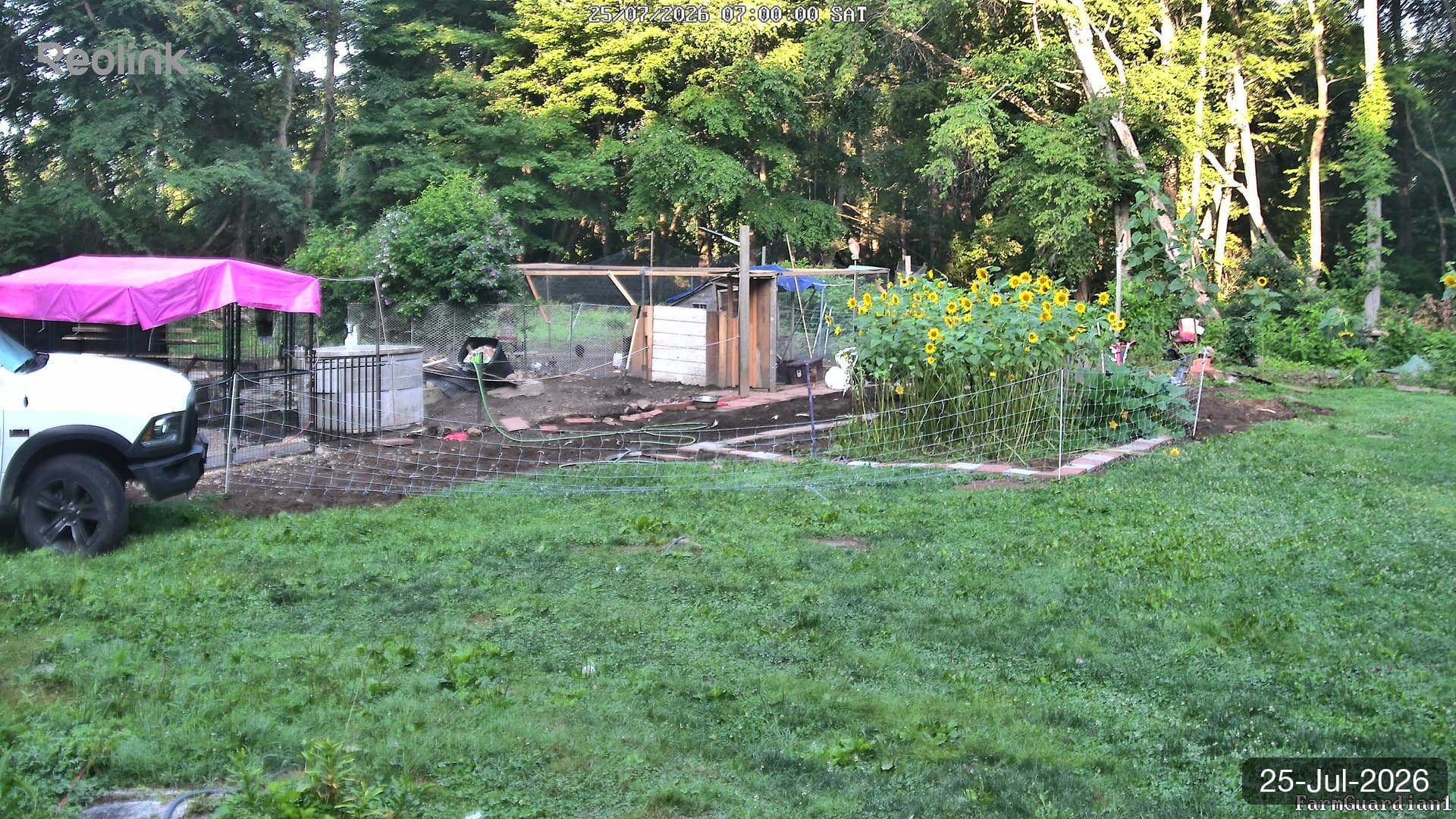 Yard on 25-Jul-2026, Morning