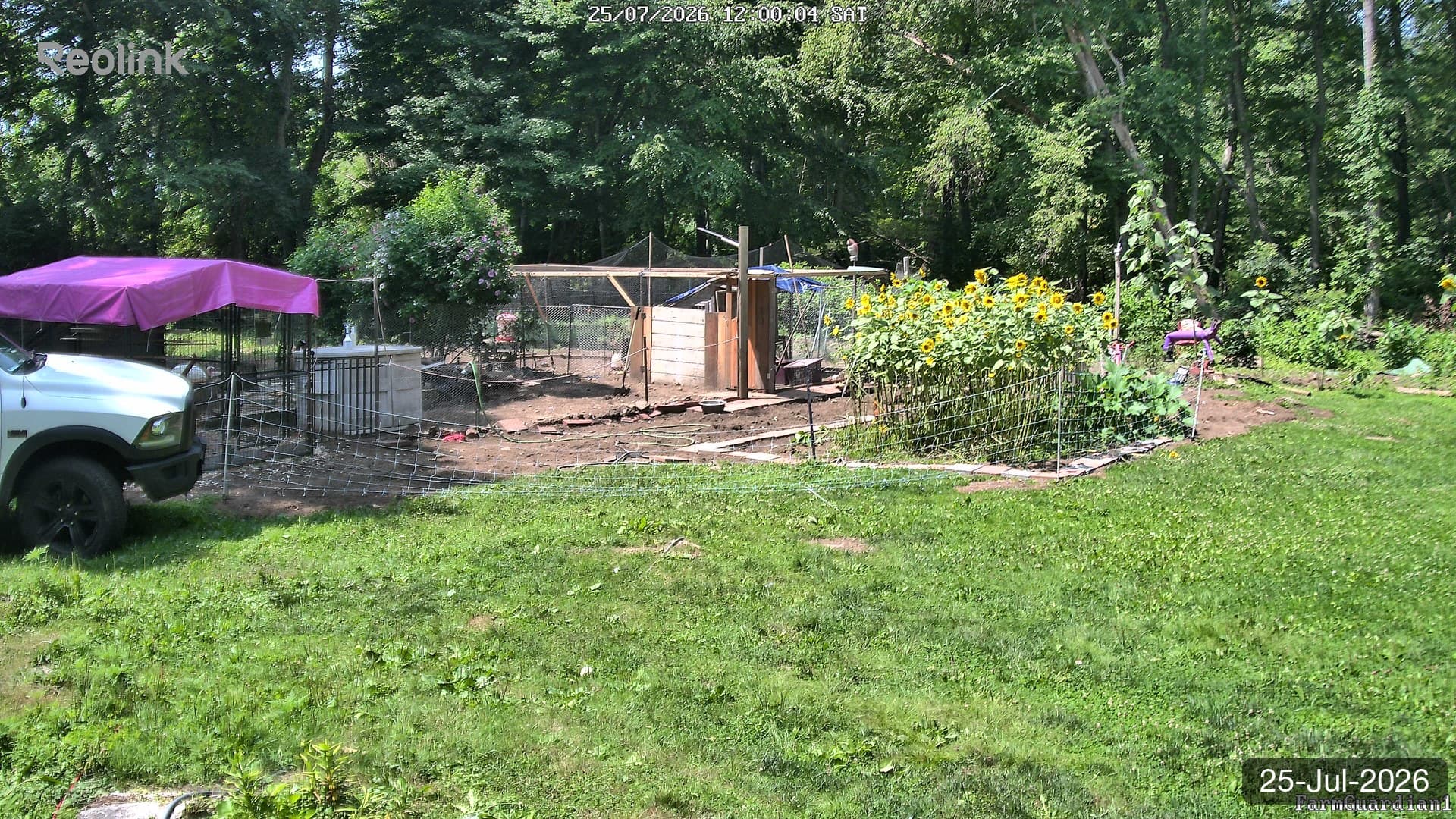 Yard on 25-Jul-2026, Noon