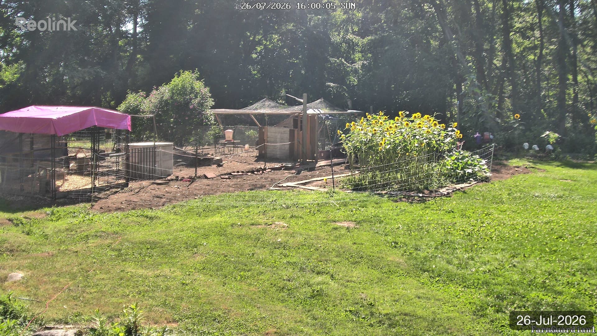 Yard on 26-Jul-2026, Evening