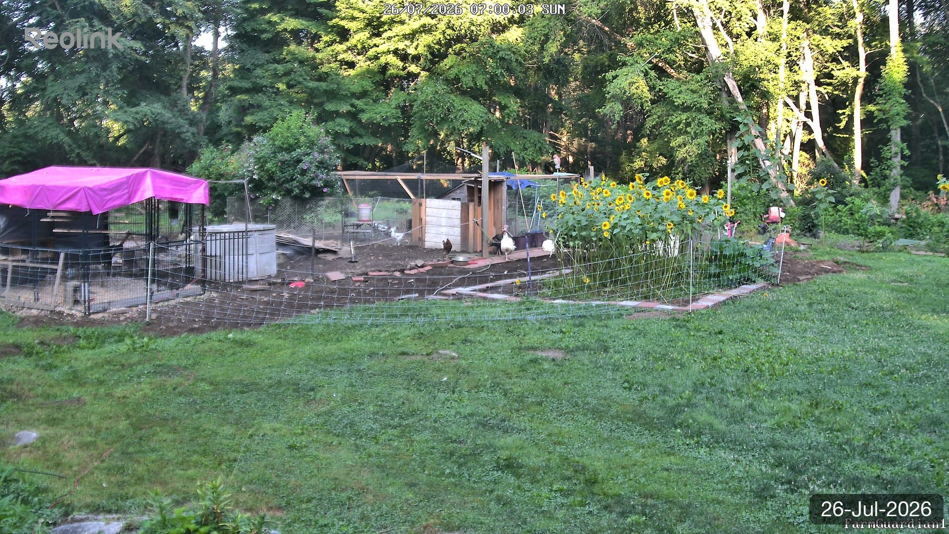 Yard on 26-Jul-2026, Morning