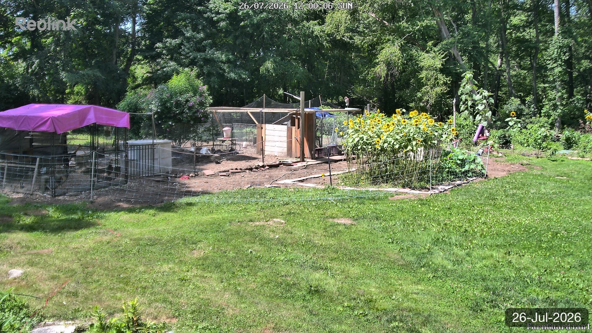 Yard on 26-Jul-2026, Noon