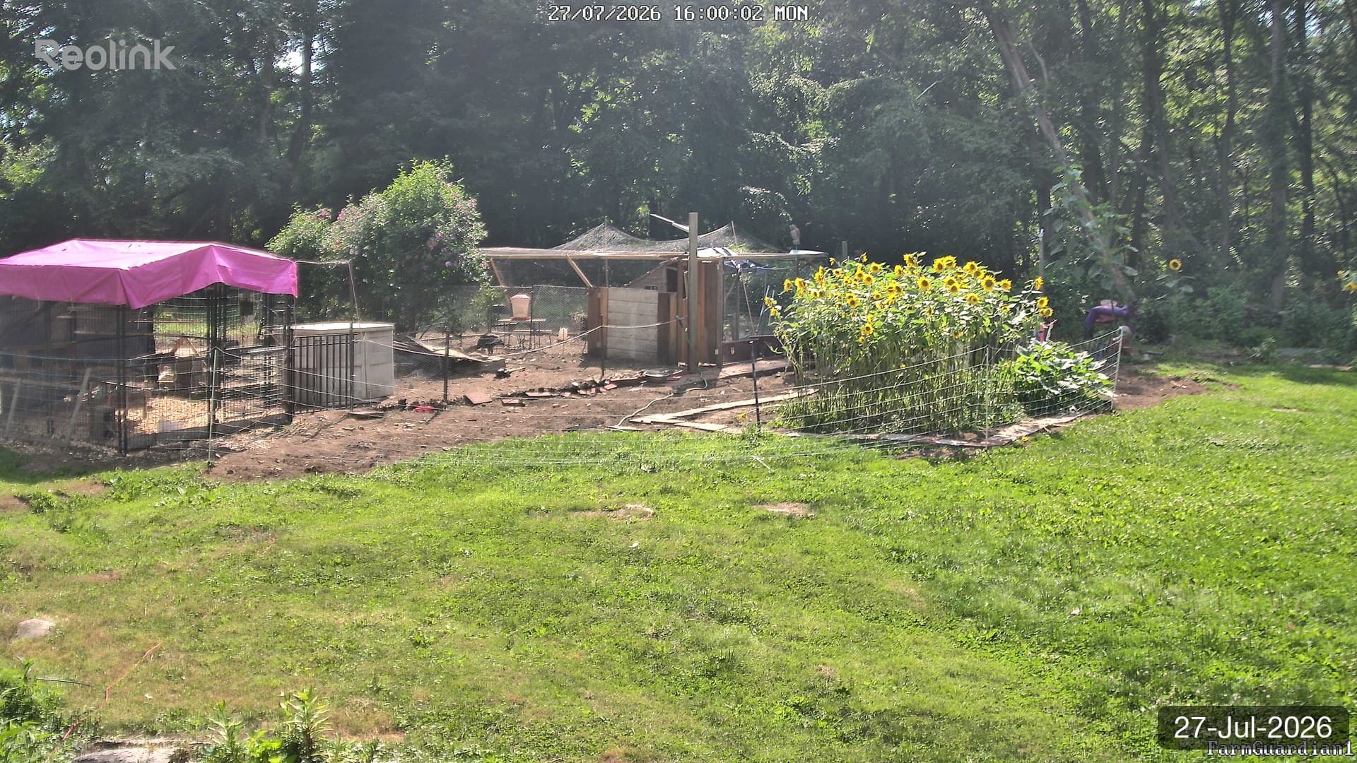 Yard on 27-Jul-2026, Evening