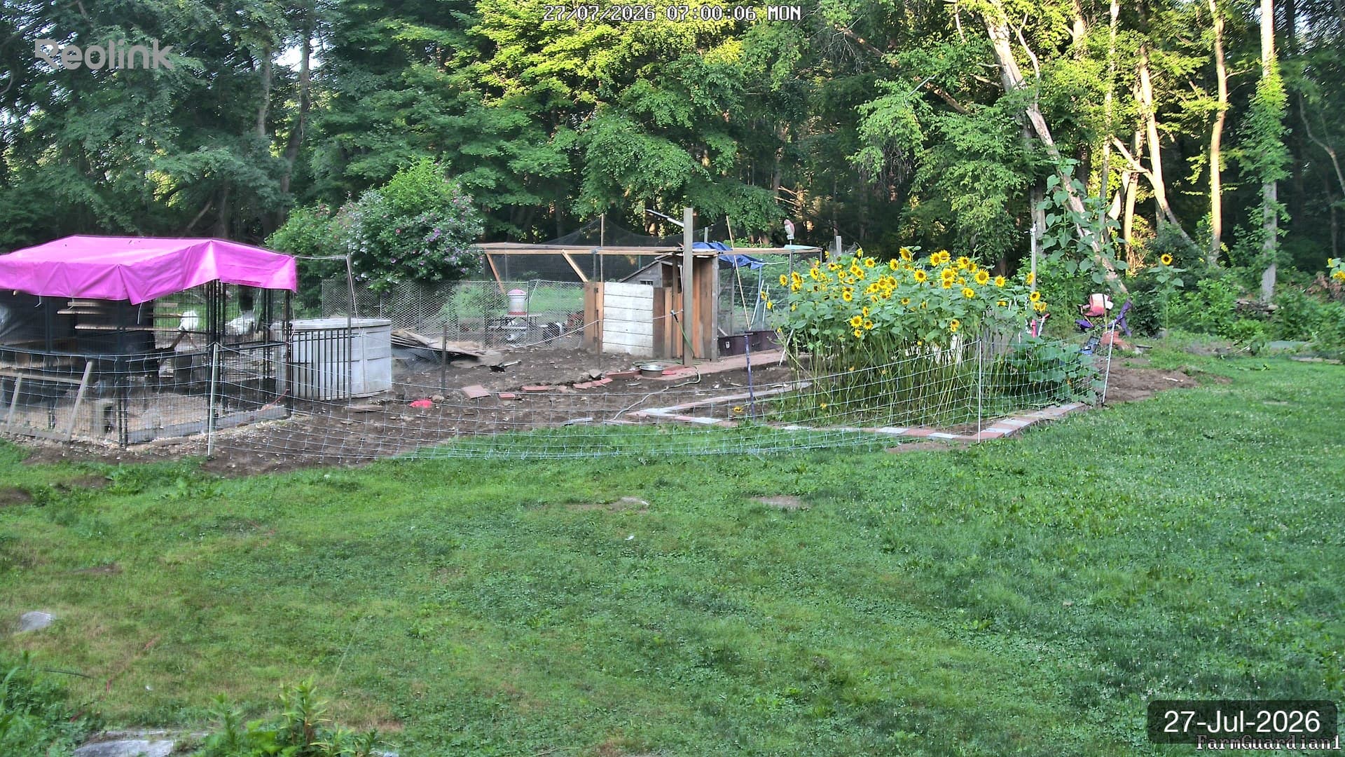 Yard on 27-Jul-2026, Morning