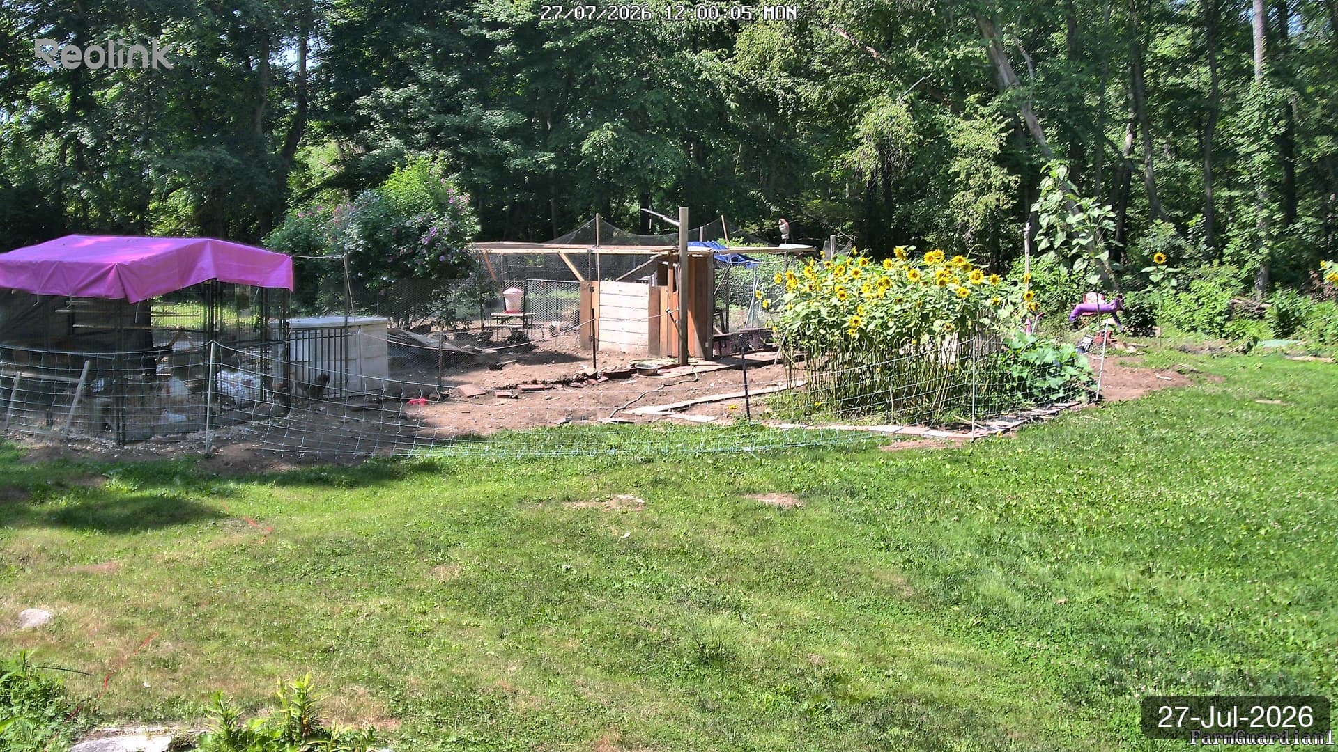 Yard on 27-Jul-2026, Noon