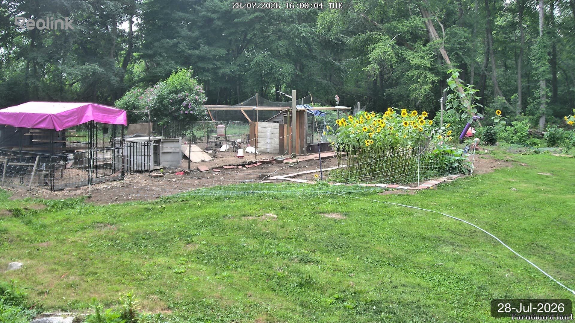 Yard on 28-Jul-2026, Evening