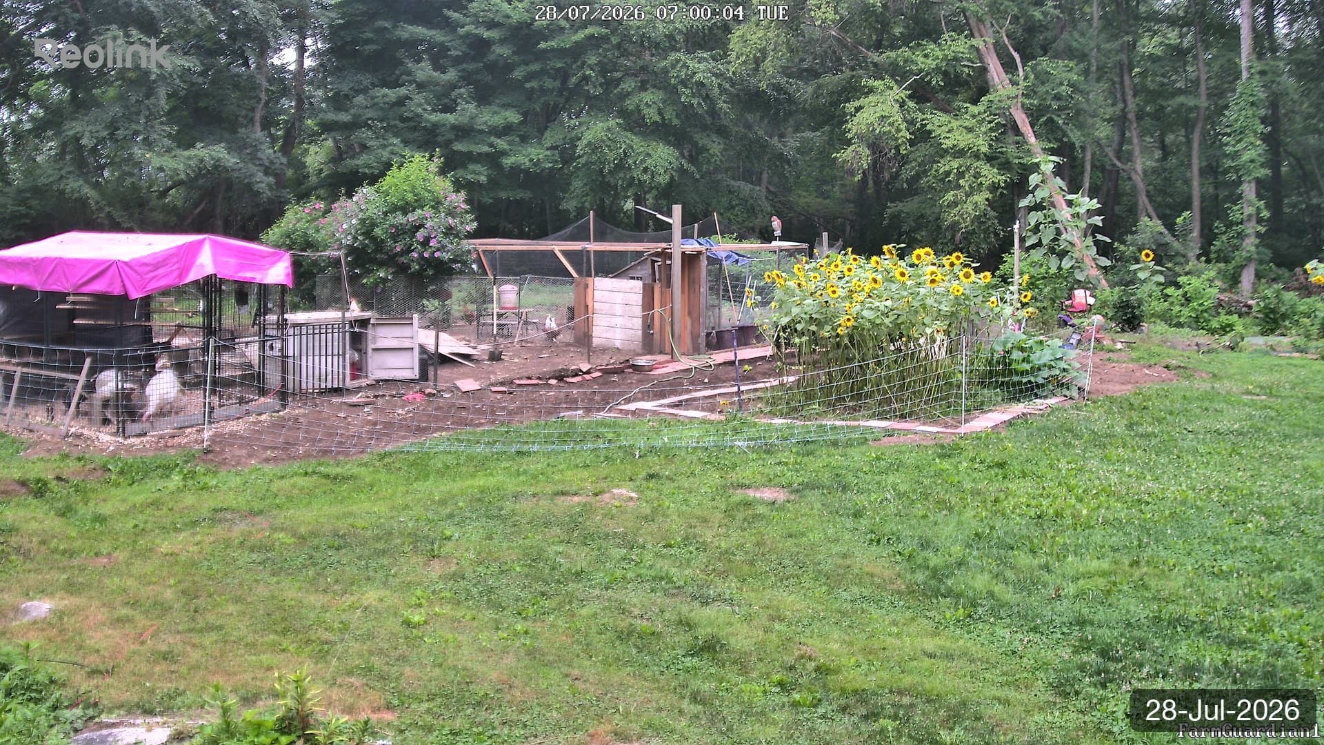 Yard on 28-Jul-2026, Morning