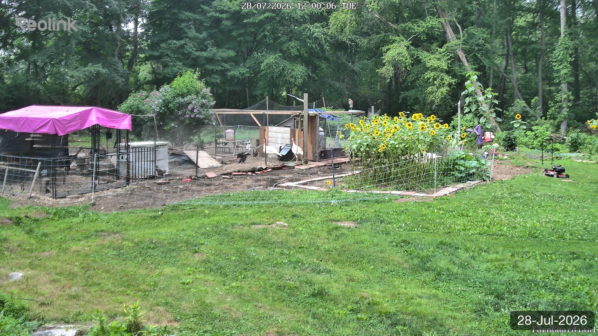 Yard on 28-Jul-2026, Noon