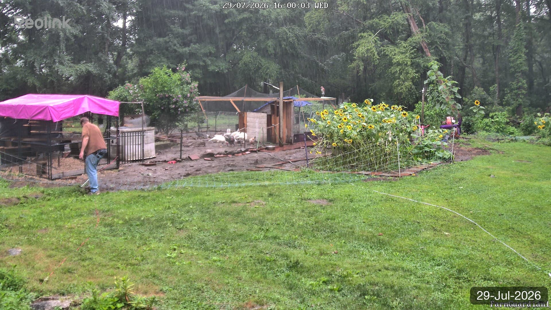 Yard on 29-Jul-2026, Evening