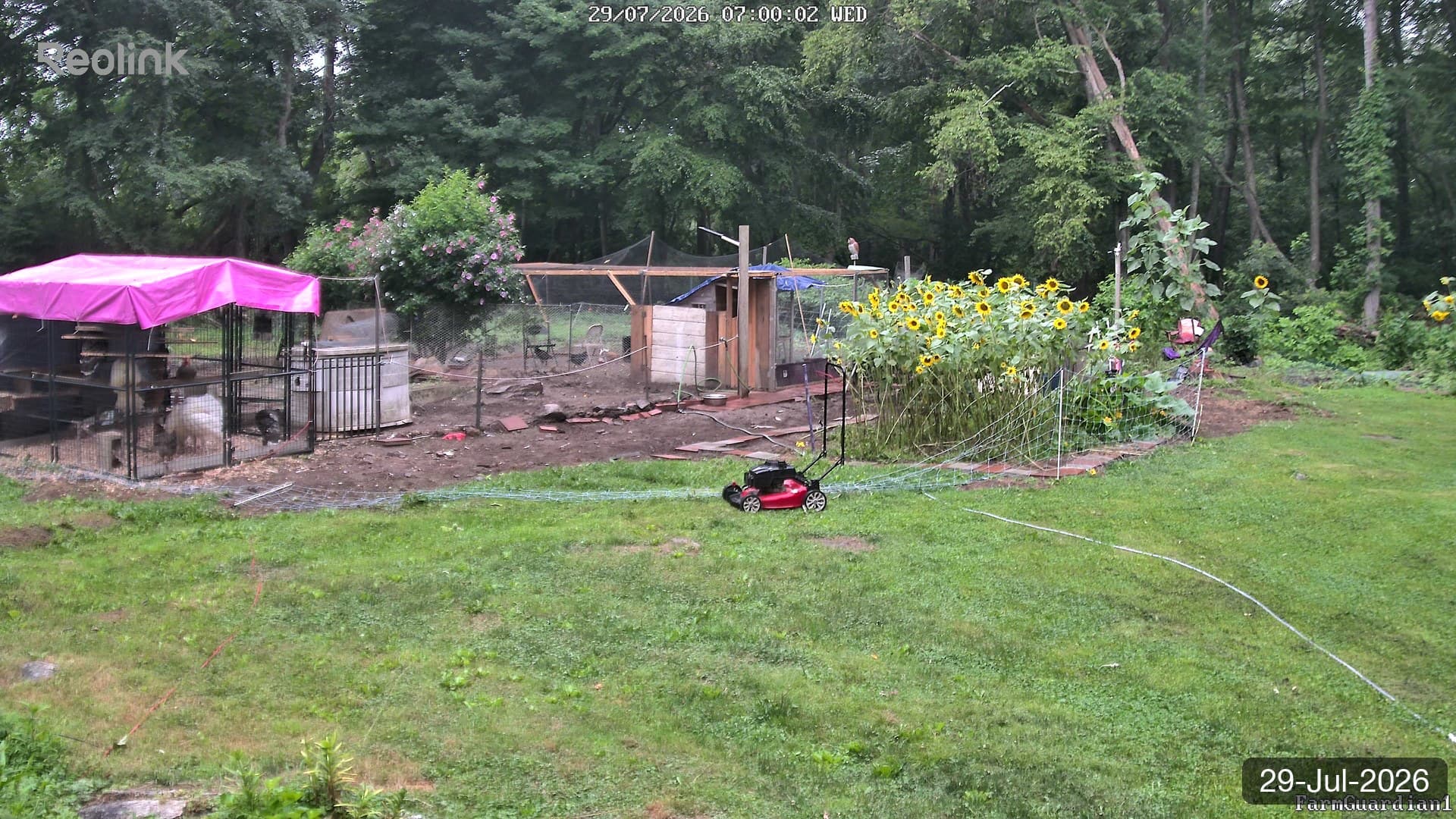 Yard on 29-Jul-2026, Morning