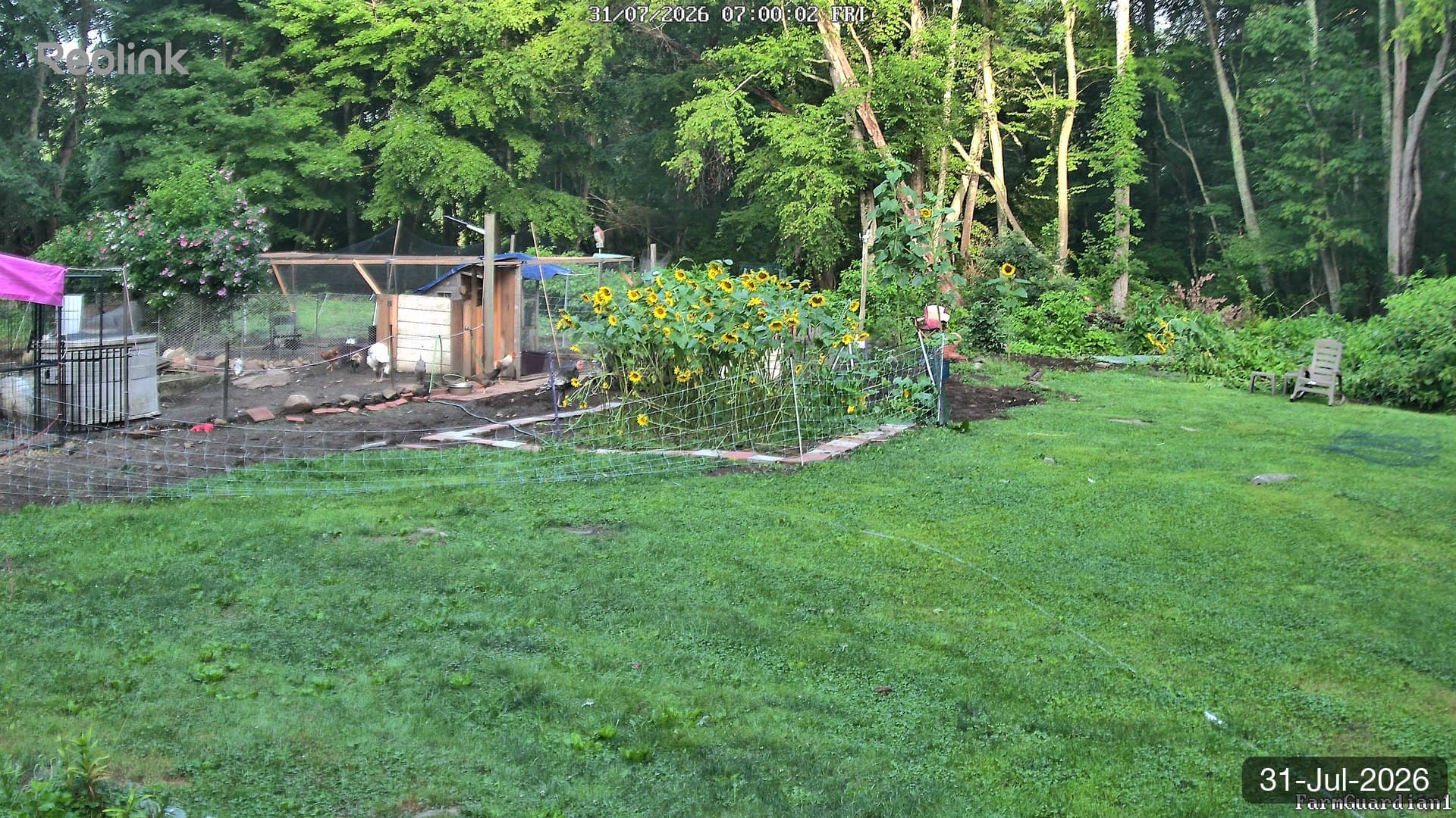 Yard on 31-Jul-2026, Morning