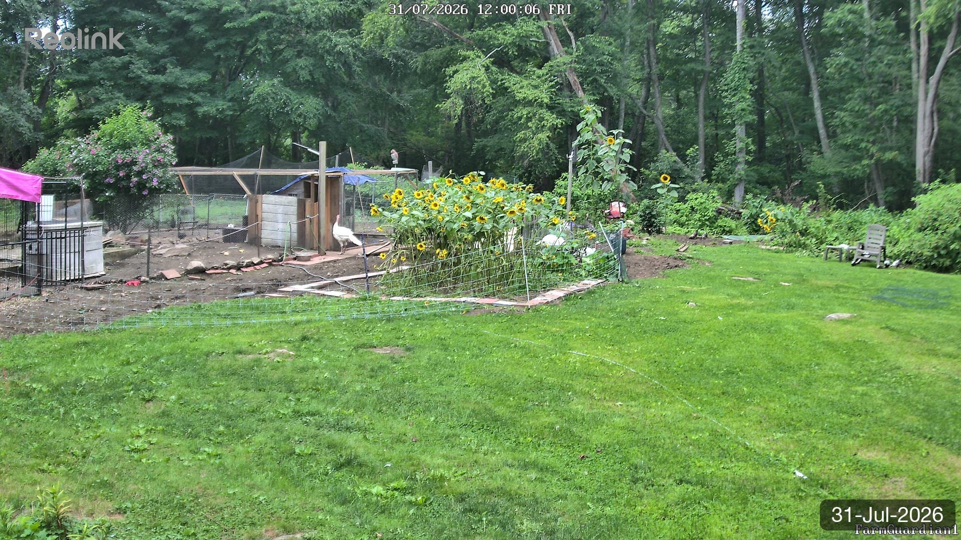 Yard on 31-Jul-2026, Noon