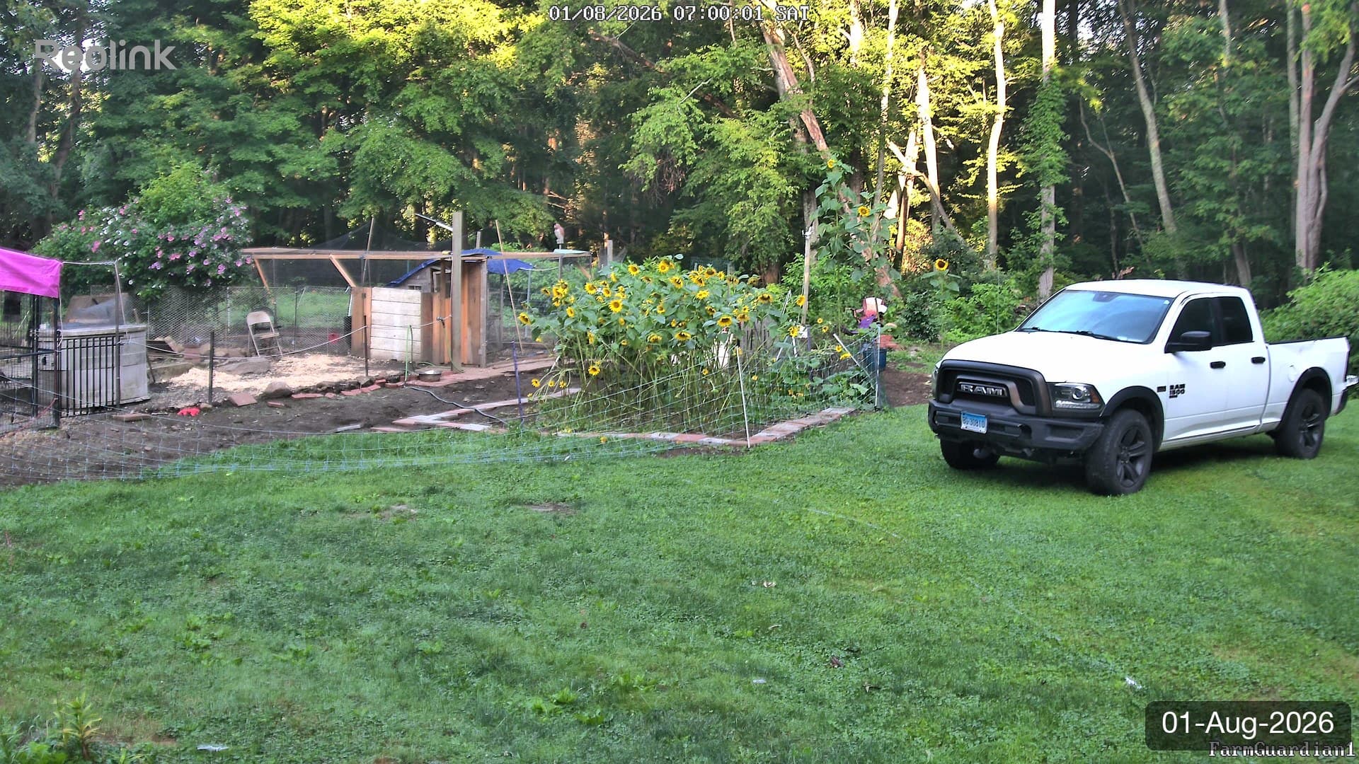 Yard on 01-Aug-2026, Morning