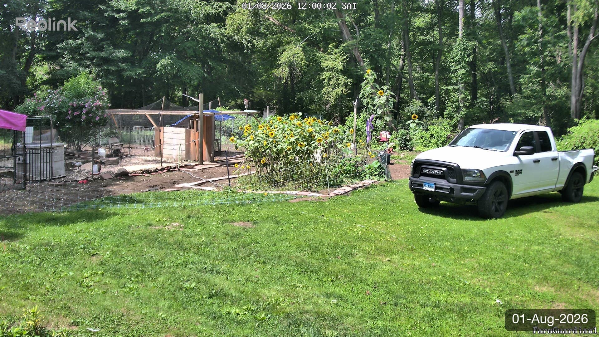 Yard on 01-Aug-2026, Noon