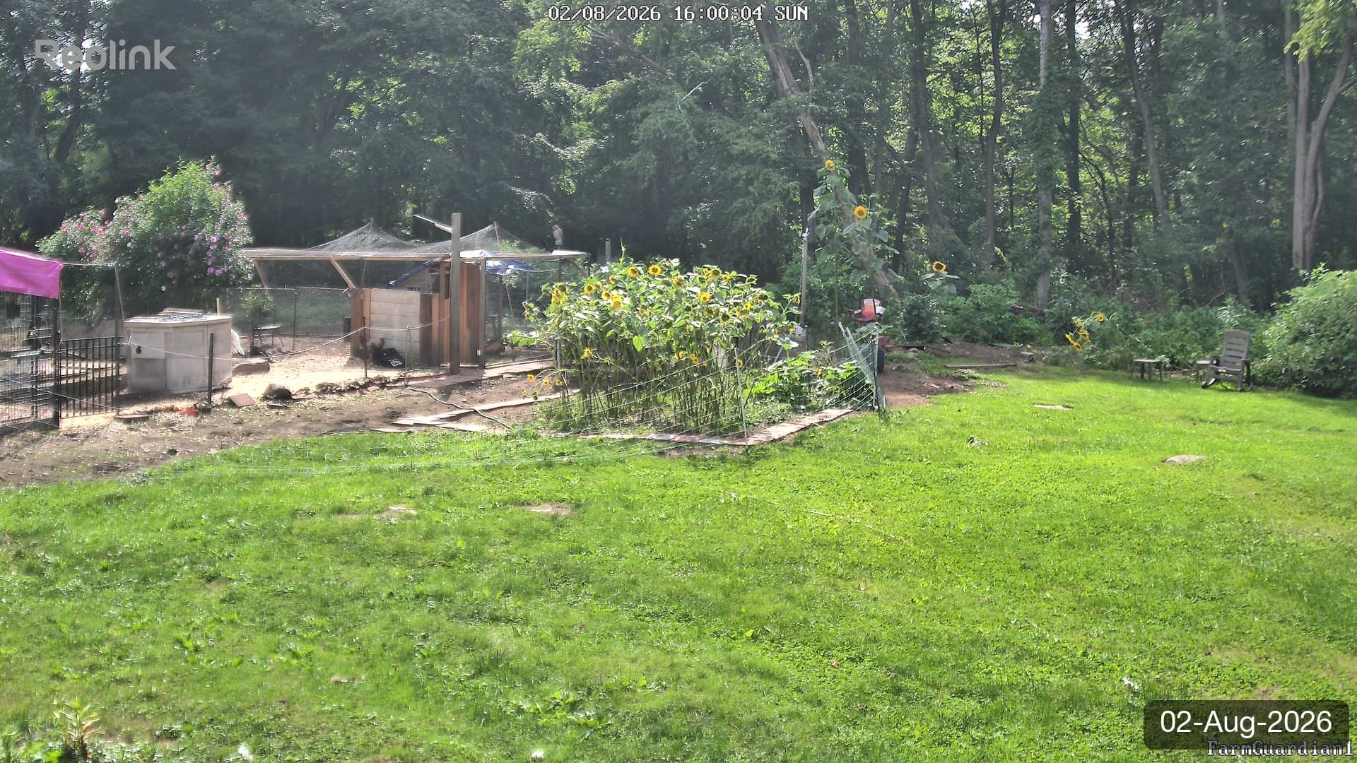 Yard on 02-Aug-2026, Evening