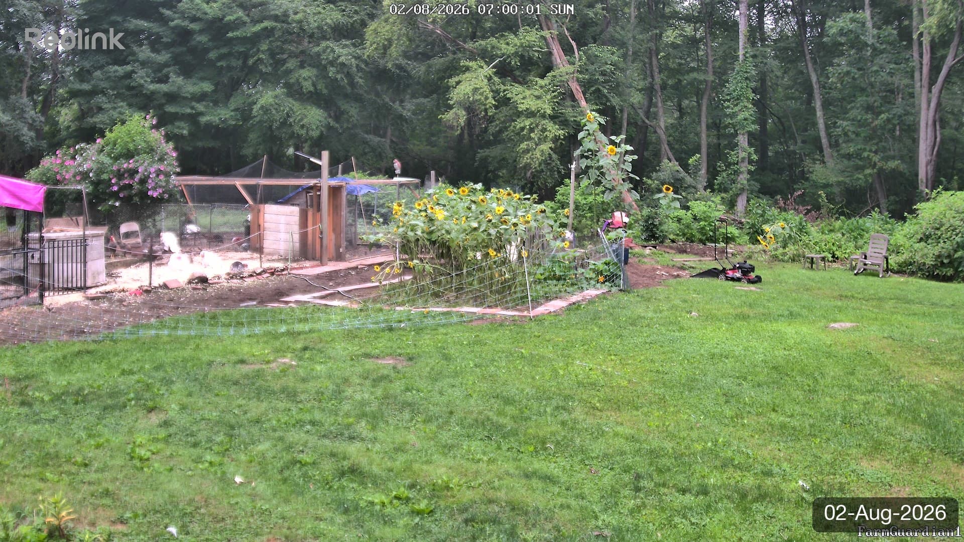 Yard on 02-Aug-2026, Morning