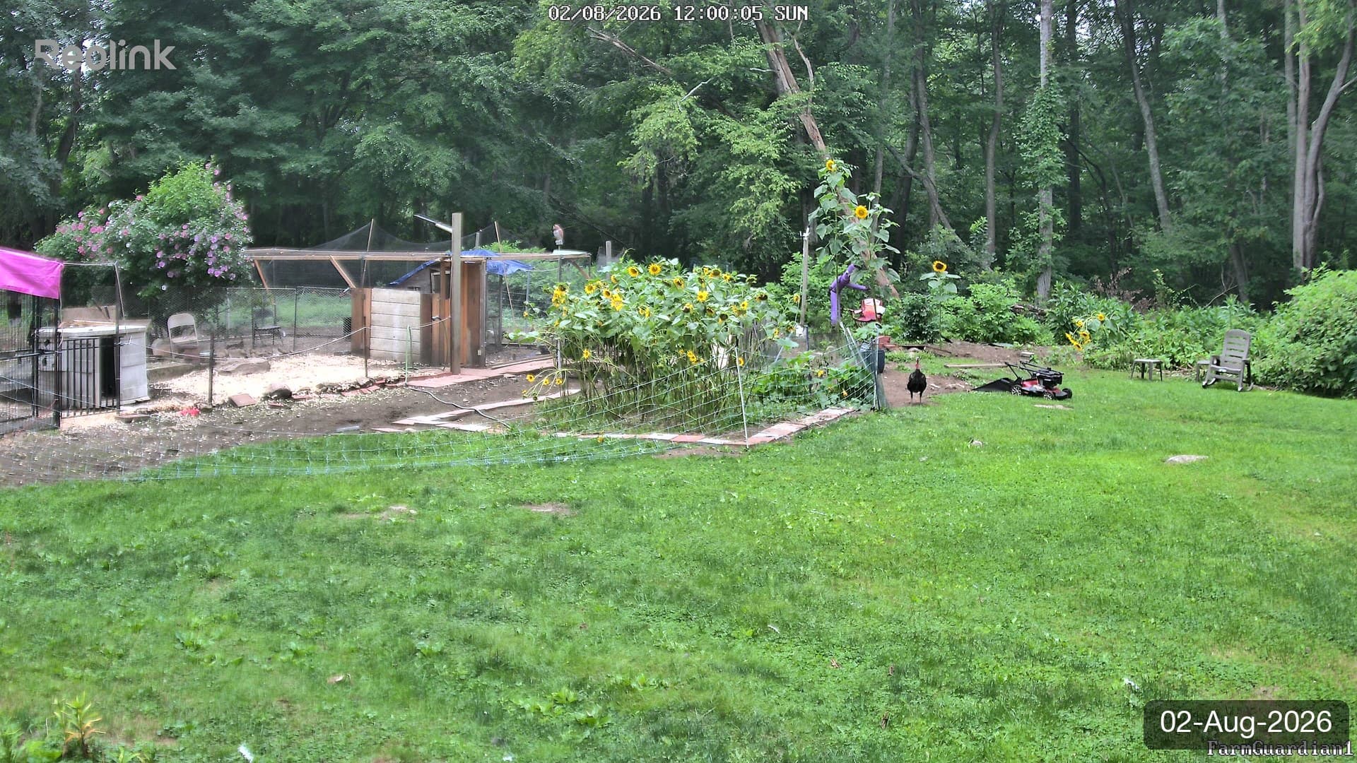 Yard on 02-Aug-2026, Noon