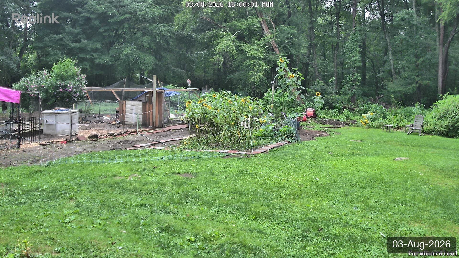 Yard on 03-Aug-2026, Evening