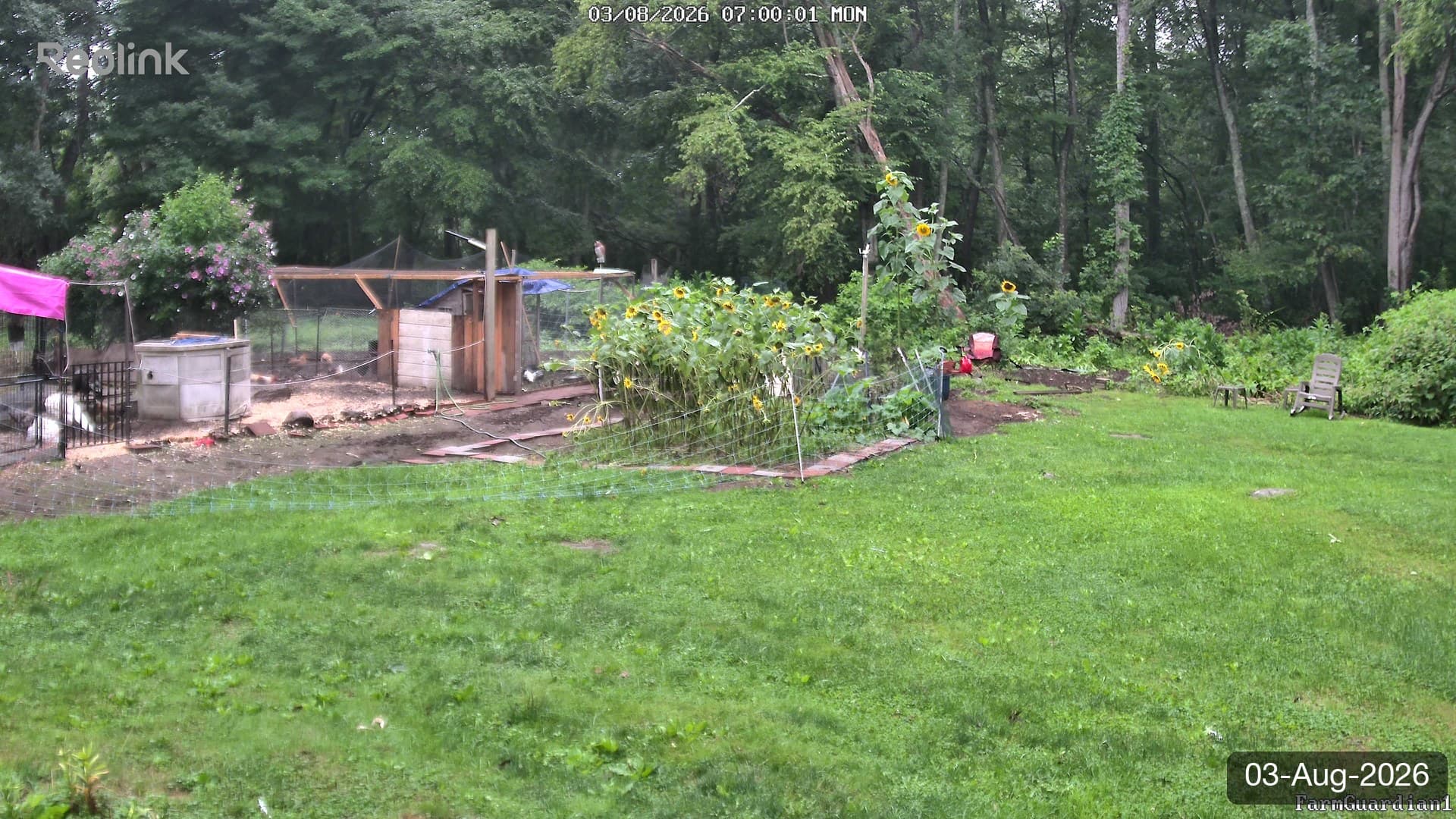 Yard on 03-Aug-2026, Morning