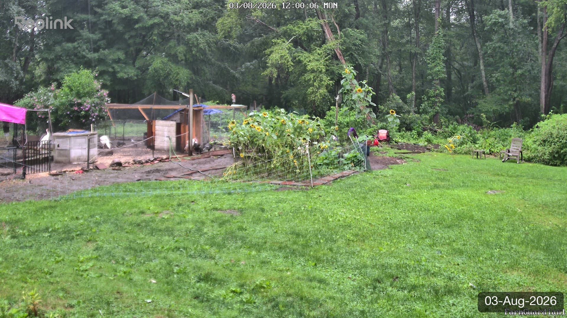 Yard on 03-Aug-2026, Noon